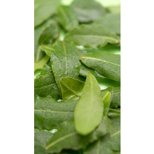 Cleantle Car Mist Green Tea 200ml - mgiełka zapachowa do auta - 7