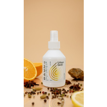 Cleantle Car Mist Urban Gold 200ml - mgiełka zapachowa do auta - 2