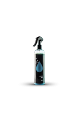 CleanTech CarnauWax 500ml - 1