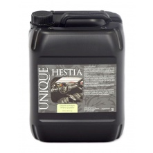Unique Hestia - odżywka do wnętrza 5L