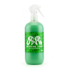 Dodo Juice Basics Detailing Spray 500ml - 1