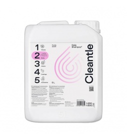 Cleantle Daily Shampoo Fruit Scent 5L - neutralny szampon samochodowy