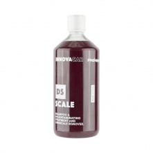 Innovacar DS Scale 1L - szampon o kwaśnym pH