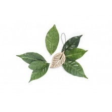The Leaf Zielona Herbata i Bergamotka - pachnąca zawieszka do samochodu