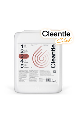 Cleantle Fabriclean+ 5L - 1